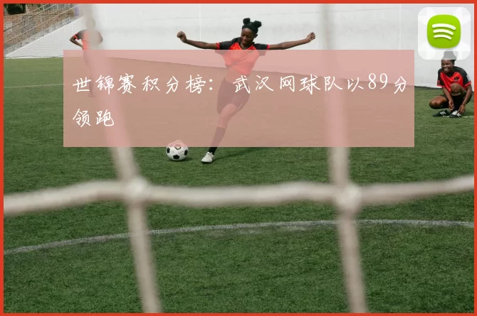 世锦赛积分榜：武汉网球队以89分领跑