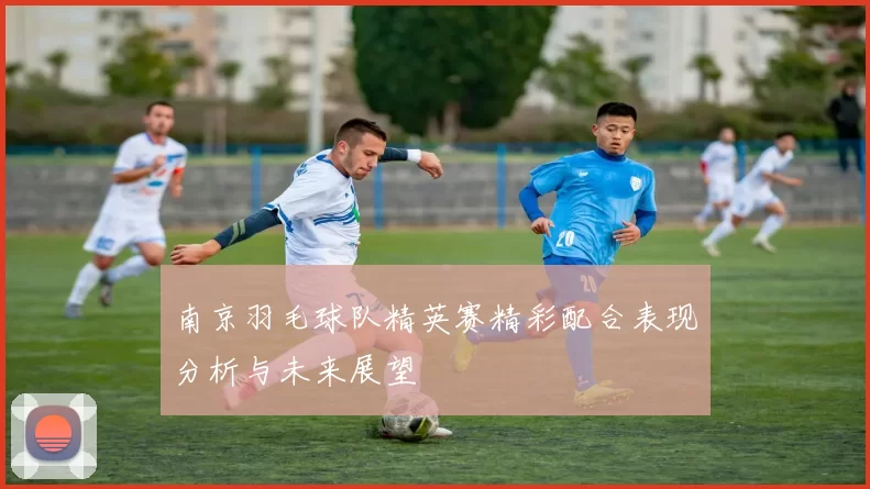 南京羽毛球队精英赛精彩配合表现分析与未来展望