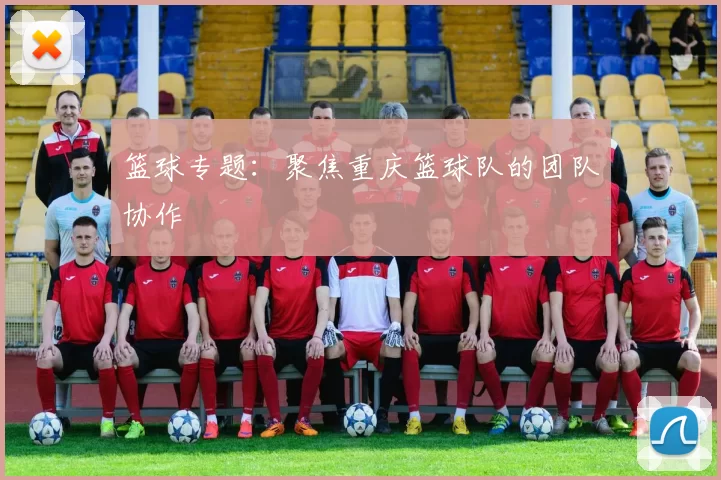 篮球专题：聚焦重庆篮球队的团队协作