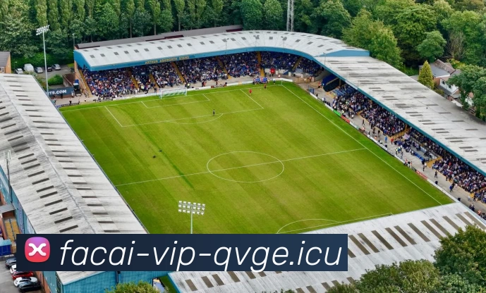 九游体育平台生态图