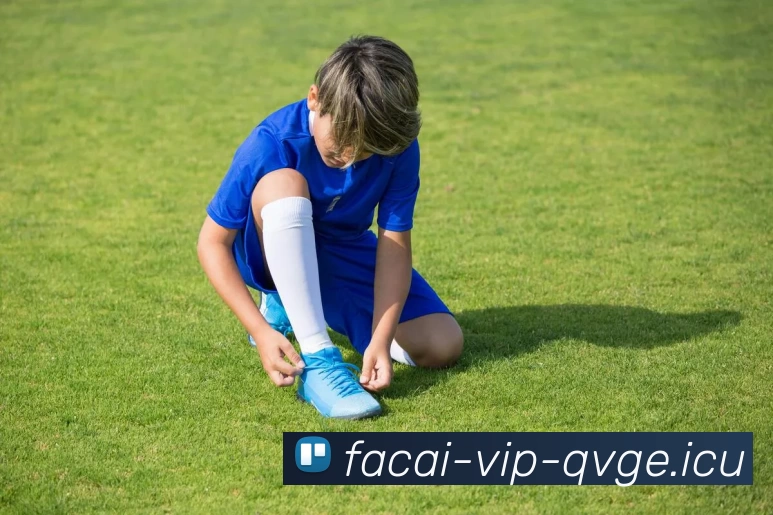 九游体育APP 封面图